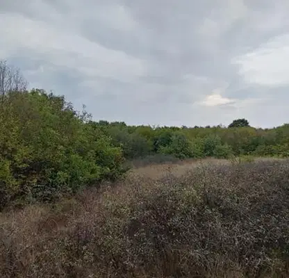 Photo 4 — Plot in Oblast Lovech, с. Умаревци