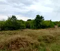 Снимка 5 — Парцел в Ловеч, с. Умаревци