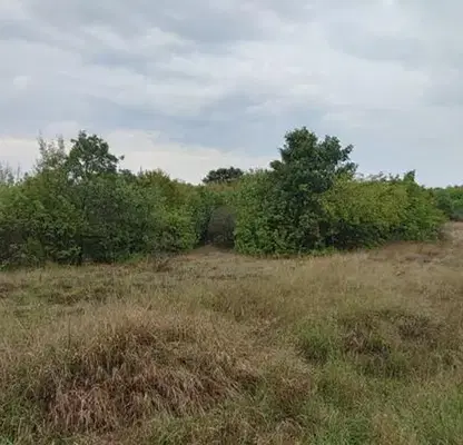 Photo 5 — Plot in Oblast Lovech, с. Умаревци