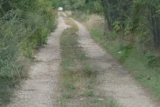Парцел в Ловеч, с. Умаревци