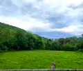 Снимка 4 — Парцел в Ловеч, с. Велчево