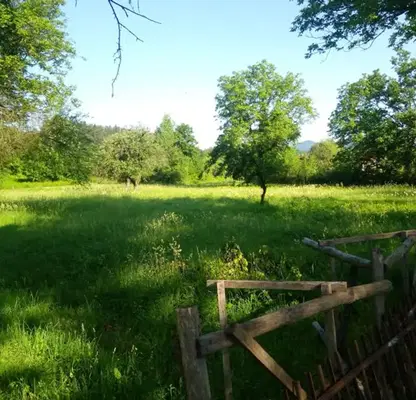 Photo 3 — Plot in Oblast Lovech, Velchevo
