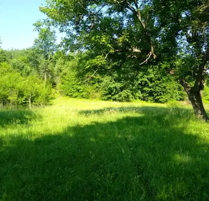 Photo 4 — Plot in Oblast Lovech, Velchevo