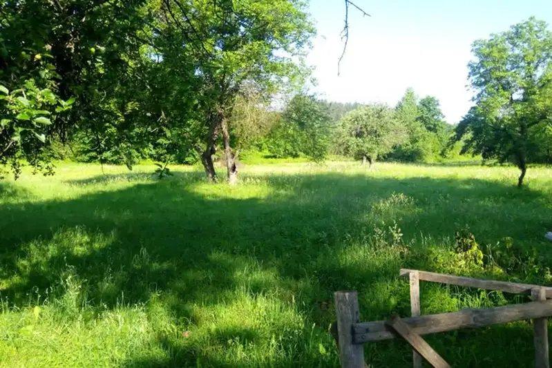 Plot in Oblast Lovech, Velchevo