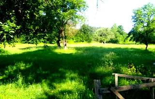 Парцел в Ловеч, с. Велчево