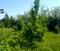 Снимка 3 — Парцел в Монтана, Берковица