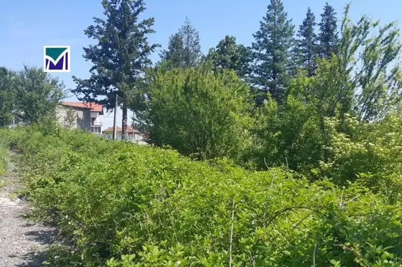 Парцел в Монтана, Берковица