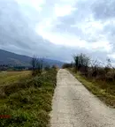 Парцел в Монтана, Берковица