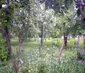 Снимка 4 — Парцел в Монтана, Берковица