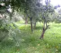 Снимка 5 — Парцел в Монтана, Берковица