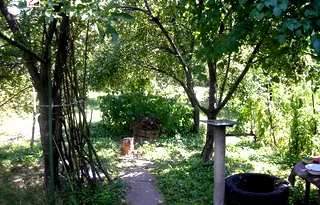 Парцел в Монтана, Берковица
