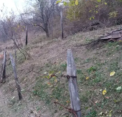 Снимка 2 — Парцел в Монтана, Берковица