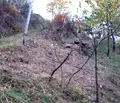 Снимка 3 — Парцел в Монтана, Берковица