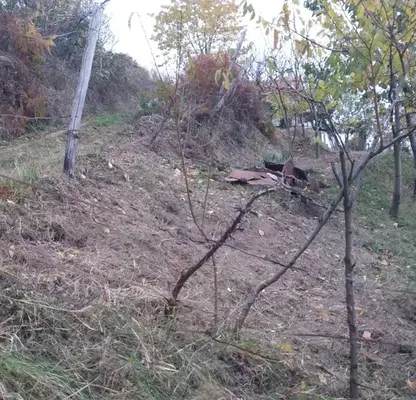 Снимка 3 — Парцел в Монтана, Берковица
