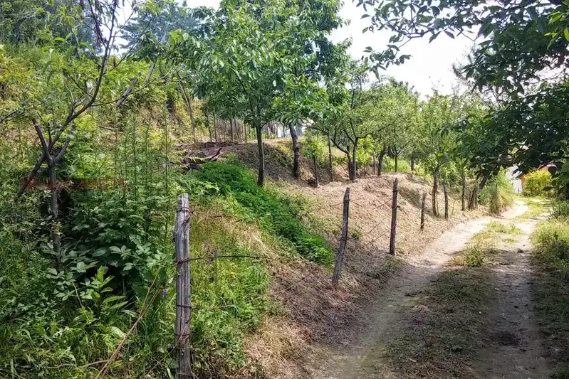 Парцел в Монтана, Берковица