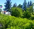 Снимка 2 — Парцел в Монтана, Берковица