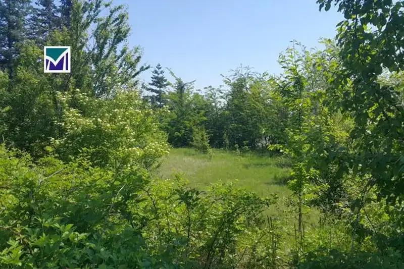 Парцел в Монтана, Берковица