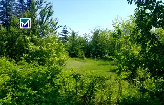 Парцел в Монтана, Берковица