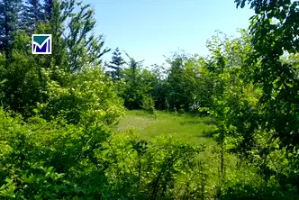 Парцел в Монтана, Берковица
