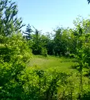 Парцел в Монтана, Берковица