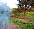 Снимка 3 — Парцел в Монтана, Лом