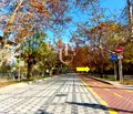Снимка 4 — Парцел в Монтана, Вършец