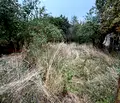 Снимка 3 — Парцел в Монтана, Вършец