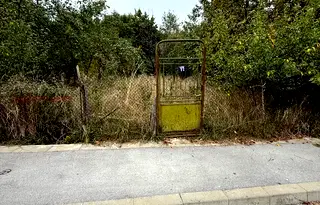 Парцел в Монтана, Вършец