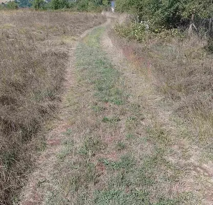 Photo 2 — Plot in Oblast Montana, Vyrshec