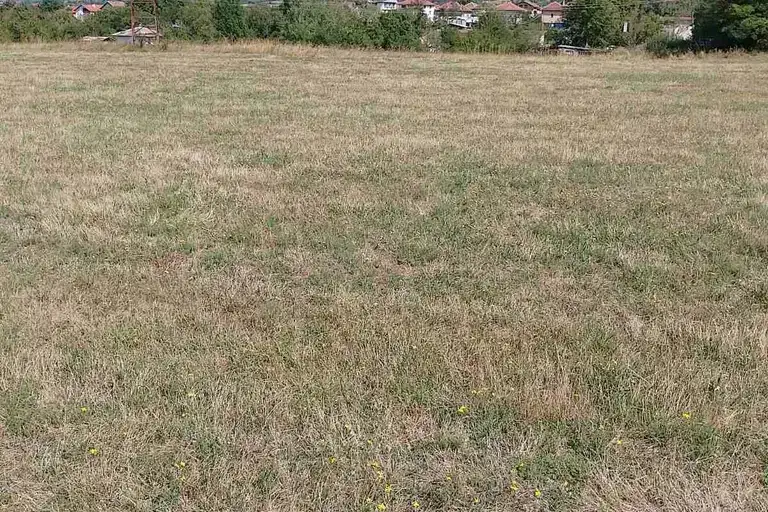 Парцел в Монтана, Вършец
