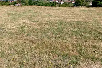 Парцел в Монтана, Вършец