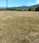 Парцел в Монтана, Вършец