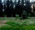 Снимка 5 — Парцел в Монтана, Вършец