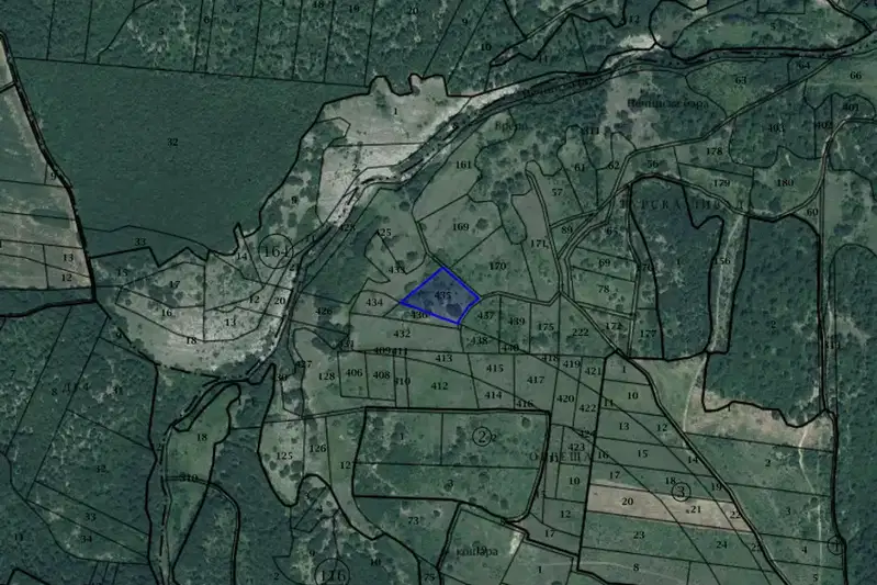 Plot in Oblast Montana, с. Белотинци
