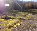 Снимка 2 — Парцел в Монтана, с. Бързия
