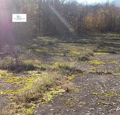 Снимка 3 — Парцел в Монтана, с. Бързия