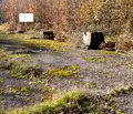 Снимка 4 — Парцел в Монтана, с. Бързия