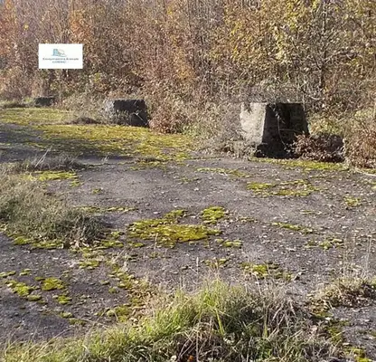 Снимка 4 — Парцел в Монтана, с. Бързия