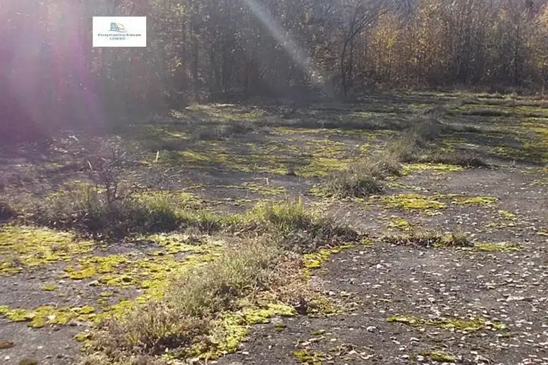 Парцел в Монтана, с. Бързия
