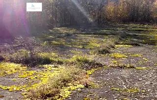 Парцел в Монтана, с. Бързия