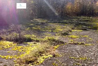 Парцел в Монтана, с. Бързия