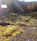 Парцел в Монтана, с. Бързия