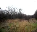 Снимка 3 — Парцел в Монтана, с. Доктор Йосифово