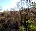 Снимка 5 — Парцел в Монтана, с. Долна Вереница