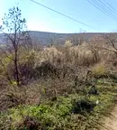 Парцел в Монтана, с. Долна Вереница