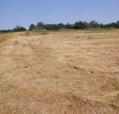 Photo 2 — Plot in Montana, Dolno Cerovene