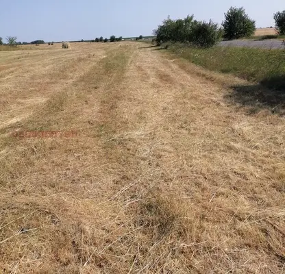 Photo 3 — Plot in Montana, Dolno Cerovene