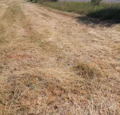 Photo 4 — Plot in Montana, Dolno Cerovene