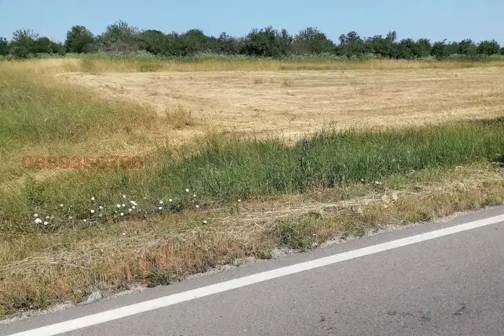 Plot in Montana, Dolno Cerovene