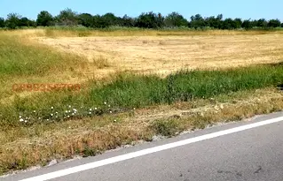 Парцел в Монтана, с. Долно Церовене